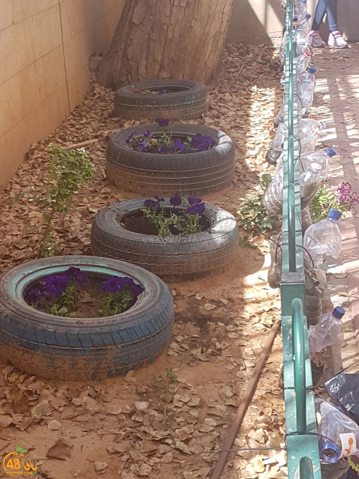 a3malkhayeret (18).jpg